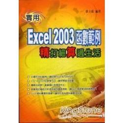 實用Excel 2003函數範例-精打細算過生活(附光碟)