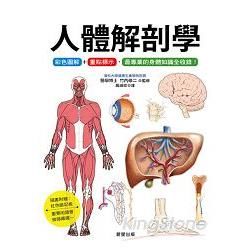 人體解剖學