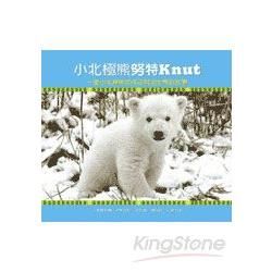 小北極熊努特：一隻小北極熊如何征服全世界的故事