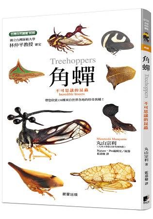 角蟬：不可思議的昆蟲【金石堂、博客來熱銷】