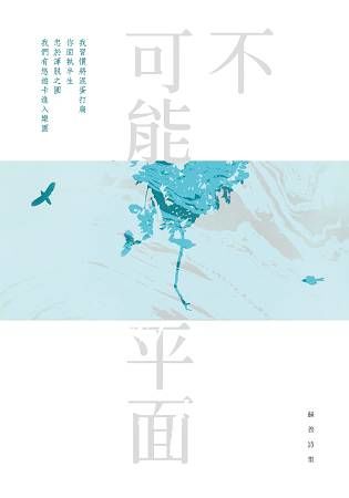 不可能平面——蘇善詩集 (電子書)