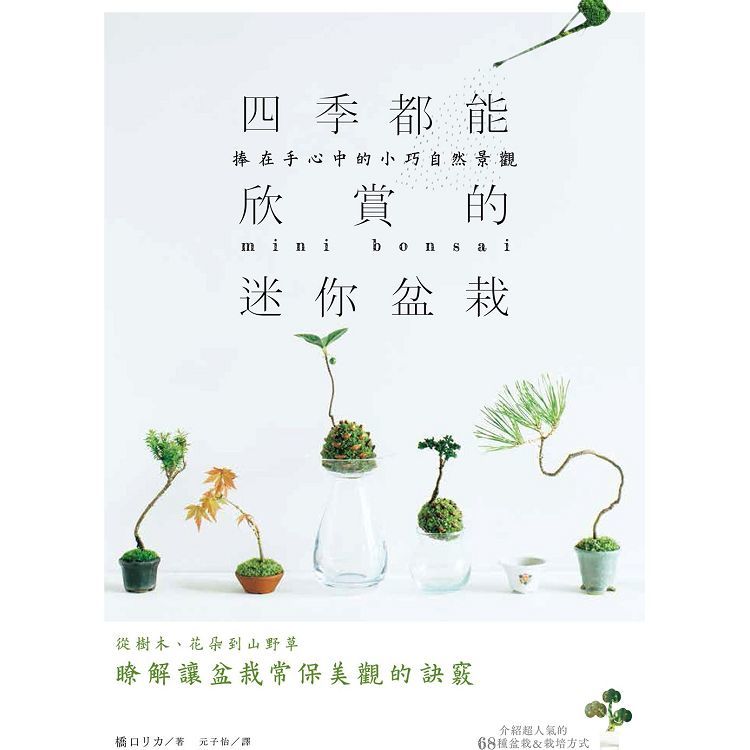 四季都能欣賞的迷你盆栽：捧在手心中的小巧自然景觀