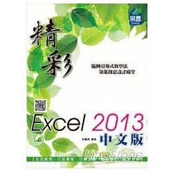 精彩 Excel 2013 中文版