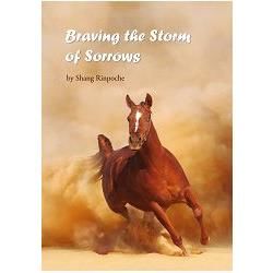 Braving the Storm of Sorrows