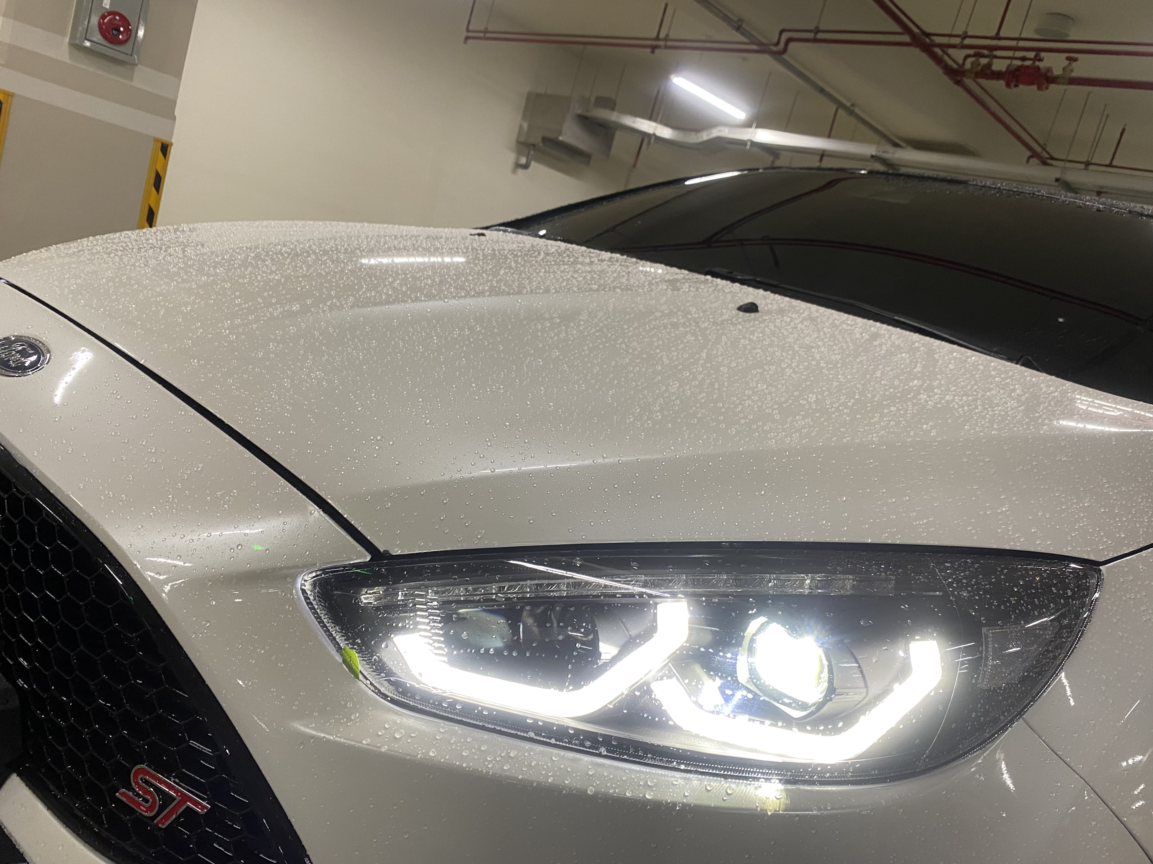 2014 focus 電話0909068733 同LINE 阿程  第3張相片