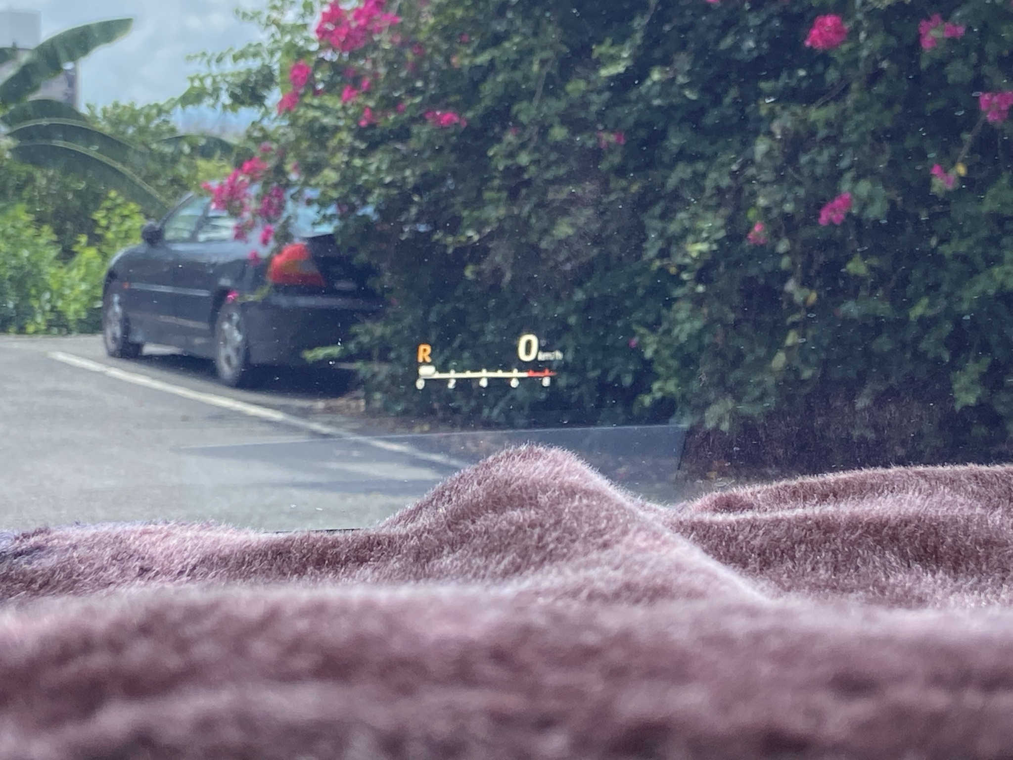 臉書搜尋 夢想程真車庫 全額貸回家 電話0909068733 同LINE 阿程  第10張相片