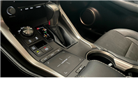 2019 LEXUS NX300 (NX200T)  F-Sport AWD 最高階等級 有全景天窗 HUD抬顯  第10張縮圖