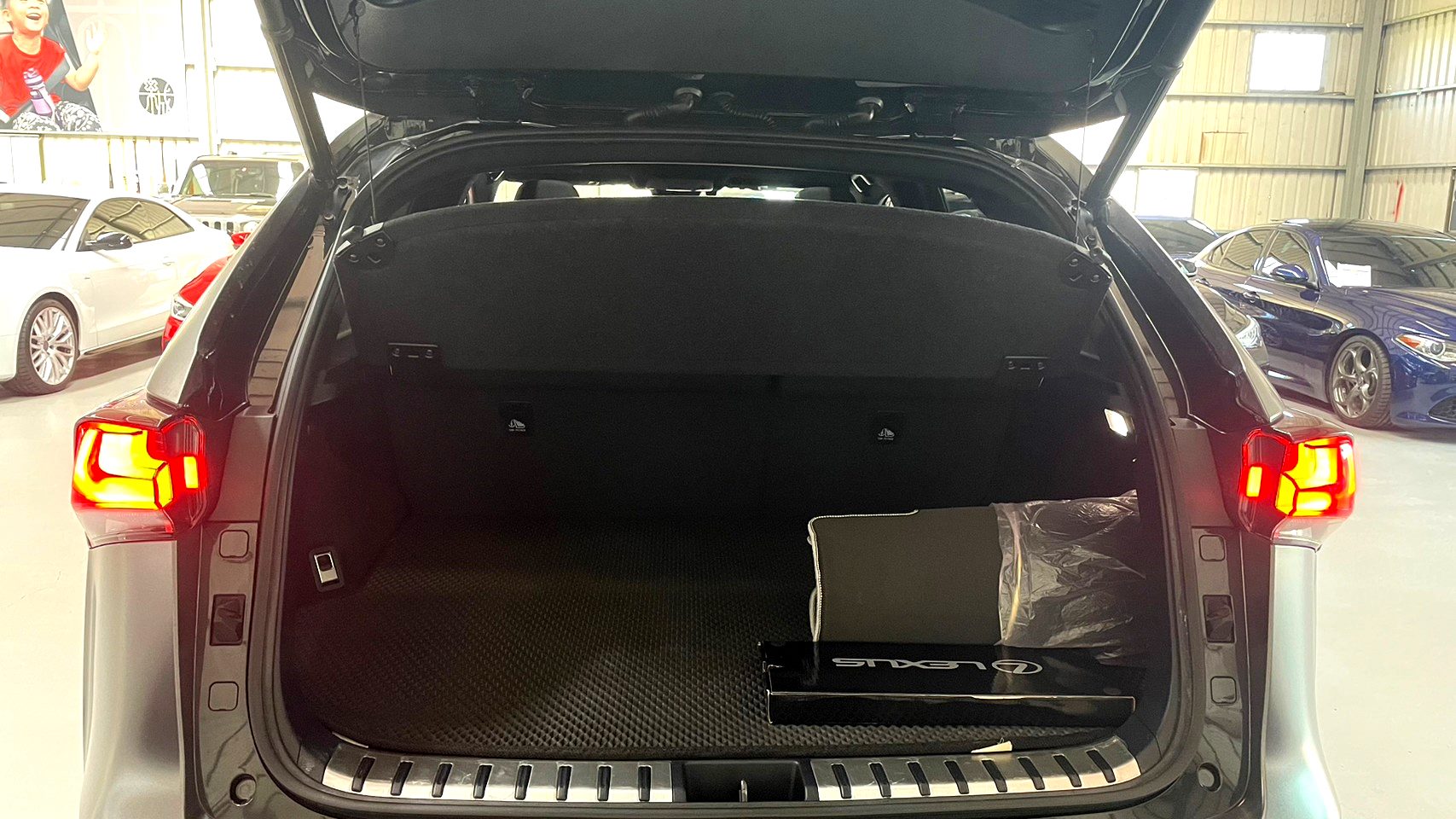 2019 LEXUS NX300 (NX200T)  F-Sport AWD 最高階等級 有全景天窗 HUD抬顯  第12張相片