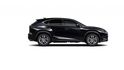 2020 Lexus NX 200豪華版  第3張縮圖