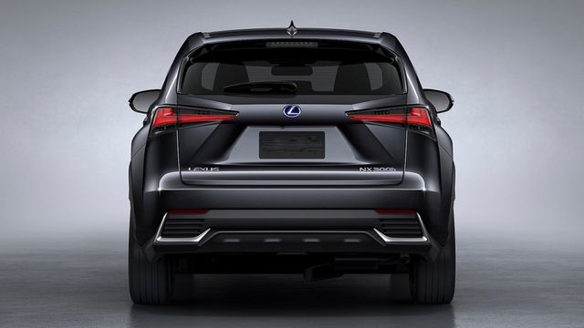 2020 Lexus NX 300頂級版  第3張相片