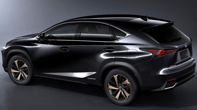 2020 Lexus NX 300頂級版  第4張相片