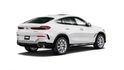 2020 BMW X6 xDrive40i  第3張縮圖
