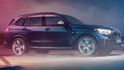 2020 BMW X5 M50d  第3張縮圖