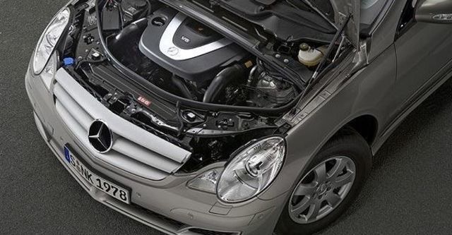 2008 M-Benz R-Class R350L  第10張相片