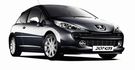 2009 Peugeot 207 GTI 1.6  第6張縮圖