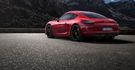 2015 Porsche Cayman GTS  第6張縮圖