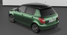 2015 Skoda Fabia RS  第5張縮圖