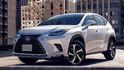 2021 Lexus NX 300h豪華版  第1張縮圖