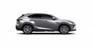 2018 Lexus NX 300h豪華版  第2張縮圖