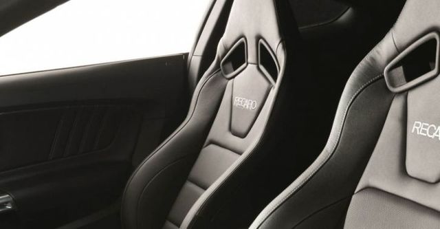 2018 Ford Mustang 5.0 GT  第10張相片