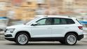 2021 Skoda Karoq 1.5 TSI劍山黑熊版  第9張縮圖