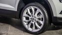 2021 Skoda Karoq 1.5 TSI玉山黑熊版  第10張縮圖