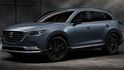 2021 Mazda CX-9 2WD黑艷版  第1張縮圖