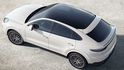 2023 Porsche Cayenne Coupe V6 Platinum Edition  第4張縮圖