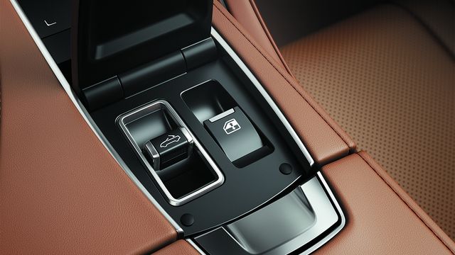 2024 Lexus LC Convertible 500  第8張相片