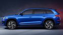 2024 Skoda Kodiaq RS  第3張縮圖