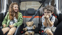 2024 Citroen Berlingo Feel M五人座Modutop全景玻璃車頂  第8張縮圖