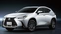 2024 Lexus NX 200豪華版  第1張縮圖
