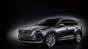 2019 Mazda CX-9 SKY-G 2WD旗艦型  第1張縮圖