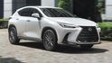 2025 Lexus NX 350h豪華版  第1張縮圖