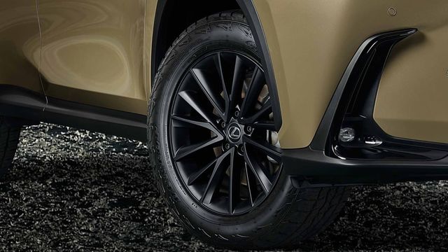 2025 Lexus NX 350 Overtail版  第5張相片