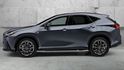 2025 Lexus NX 450h＋ F Sport版  第2張縮圖