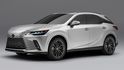 2025 Lexus RX 350豪華版  第6張縮圖