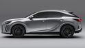 2025 Lexus RX 350豪華版  第9張縮圖