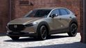 2025 Mazda CX-30 20S Retro Sports Edition  第1張縮圖