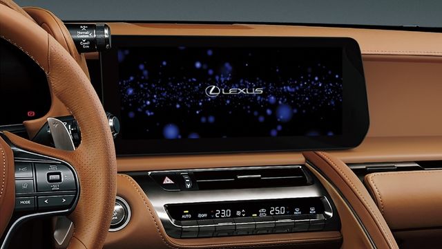 2025 Lexus LC Convertible 500  第7張相片