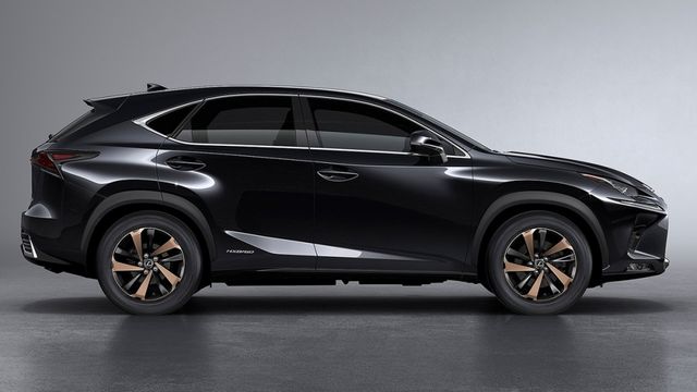 2019 Lexus NX 300h旗艦版  第3張相片