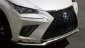 2019 Lexus NX 300h AWD F Sport  第2張縮圖