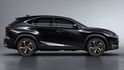2019 Lexus NX 300豪華版  第4張縮圖