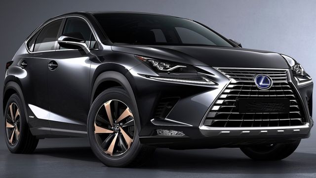 2019 Lexus NX 300頂級版  第1張相片