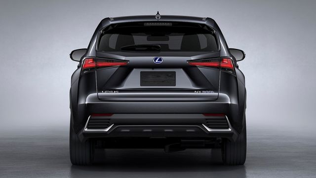 2019 Lexus NX 300頂級版  第3張相片
