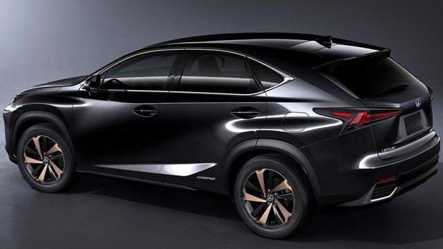2019 Lexus NX 300頂級版  第4張相片