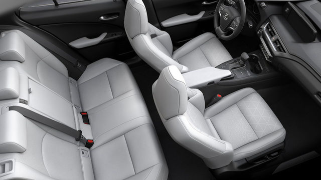 2019 Lexus UX 200菁英版  第9張相片