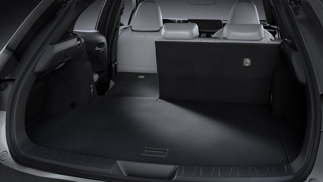 2019 Lexus UX 200菁英版  第10張相片