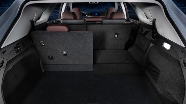 2019 Lexus RX 350L頂級版  第9張相片
