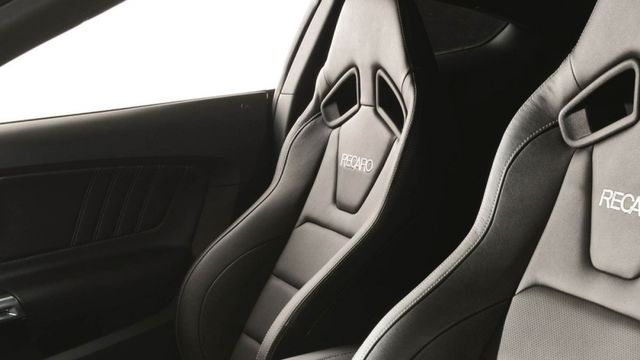 2019 Ford Mustang GT Premium  第9張相片